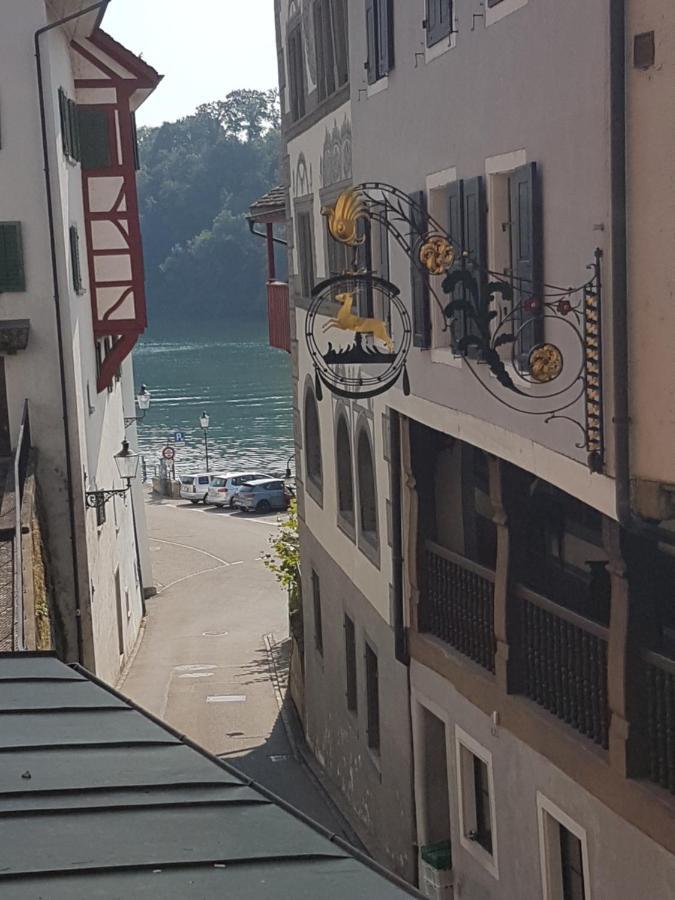 Rhii B&B Eglisau Dış mekan fotoğraf